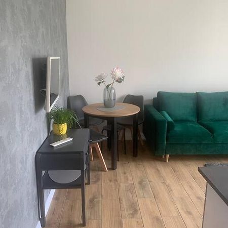 Uroczy Apartament W Centrum Sandomierza Exterior photo